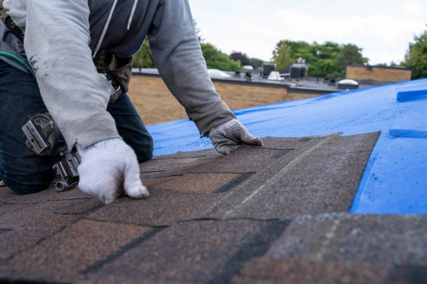 Best Gutter Installation and Roofing  in Sissonville, WV