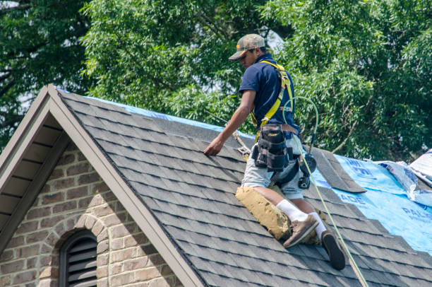 Professional Roofing Contractor in Sissonville, WV